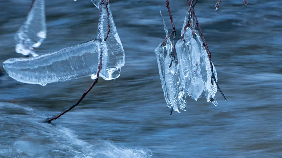 Фото: unsplash.com