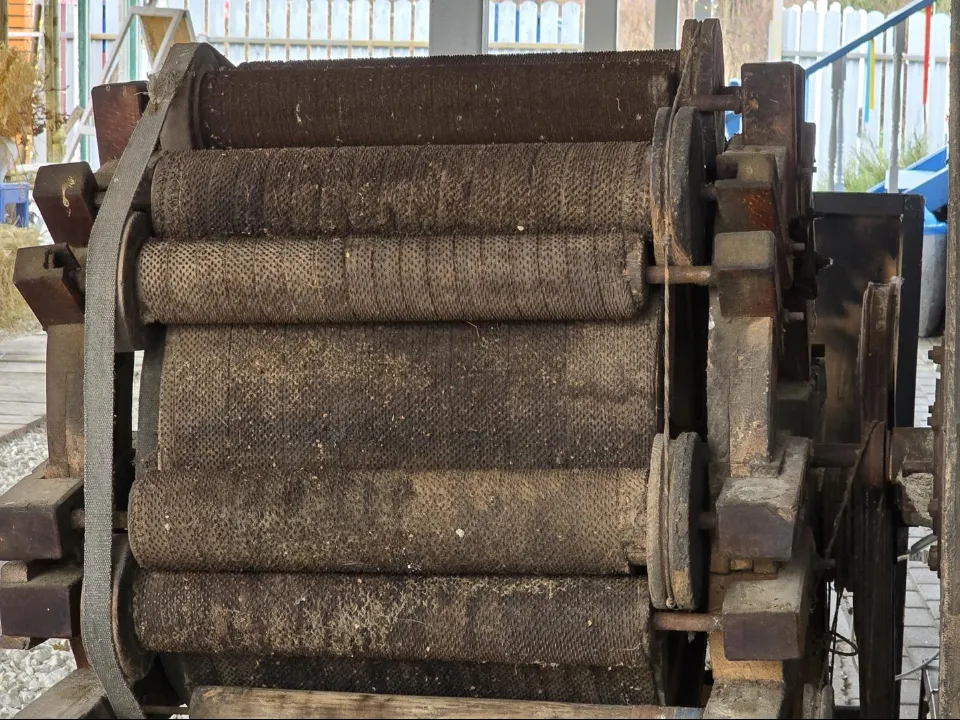 Фото: МедиаБанк Подмосковья/Марина Анисимова