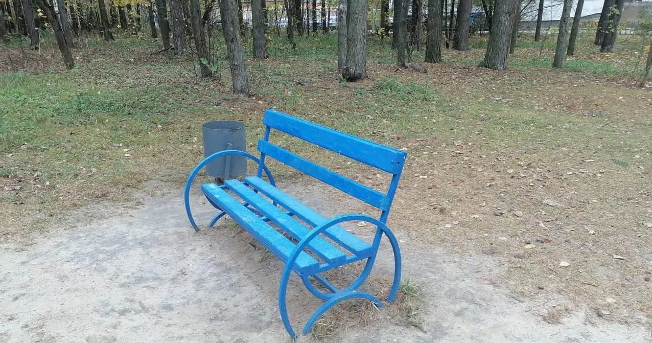 Фото: ГУСТ (территория после уборки)