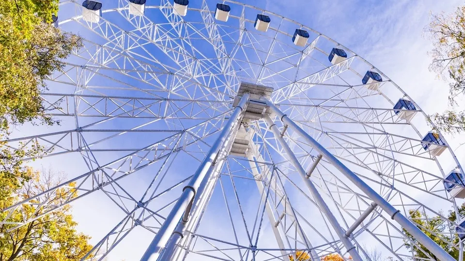 Фото: пресс-служба Администрации г.о. Химки