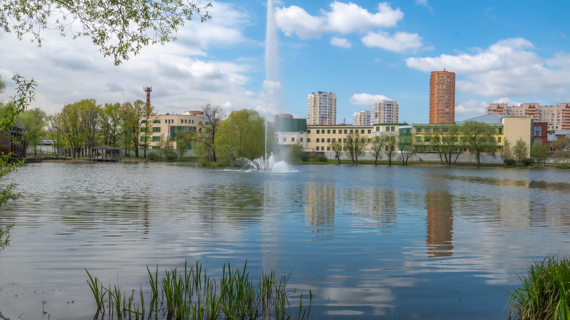 Фото: Ирина Зубарева