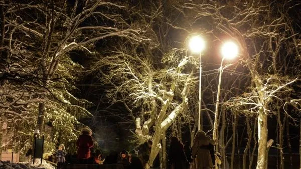 Два зауральских города получили финансирование на благоустройство парковых зон