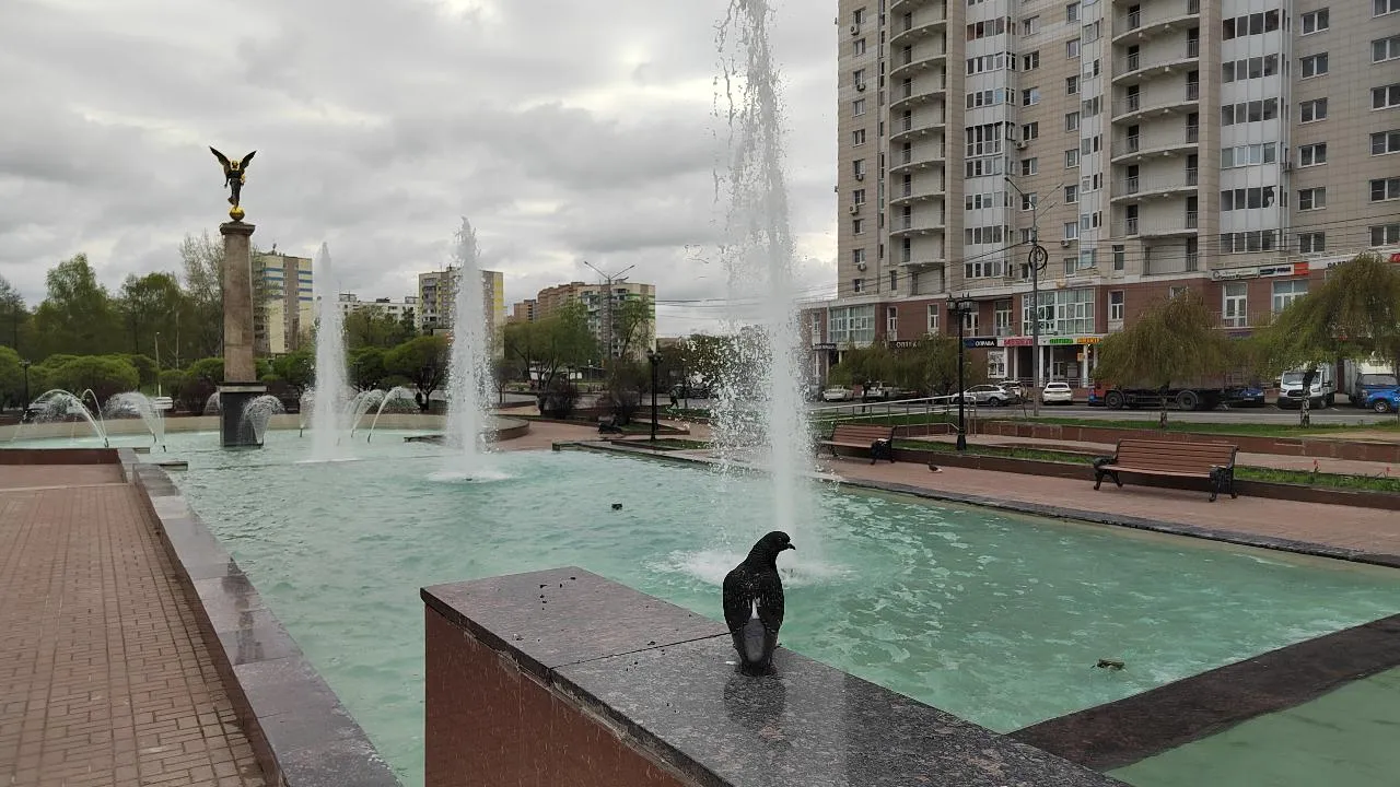 Картинка