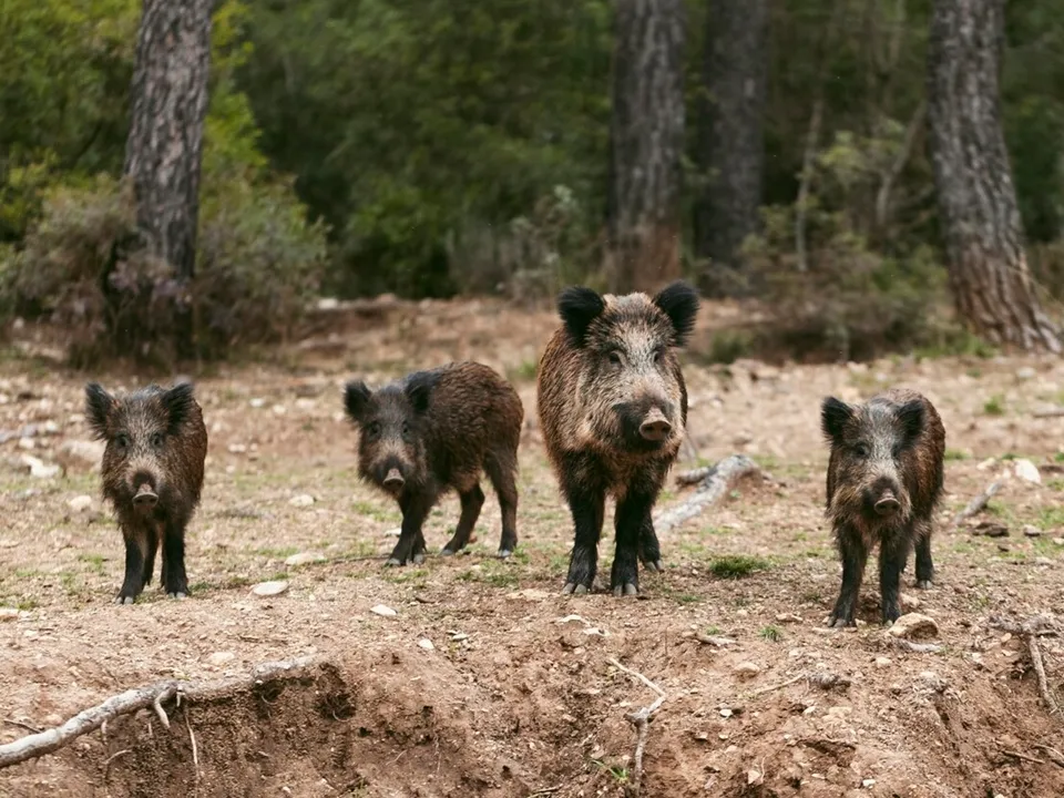 Фото: freepik.com