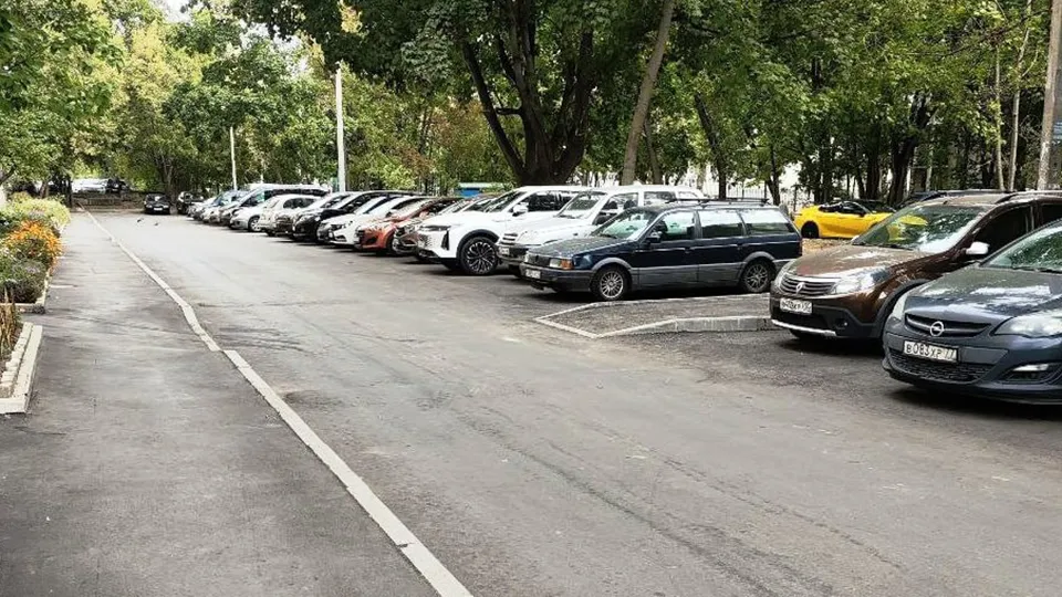 Фото: администрация г.о. Пушкинский