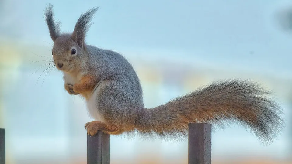 Фото: Анатолий Панков