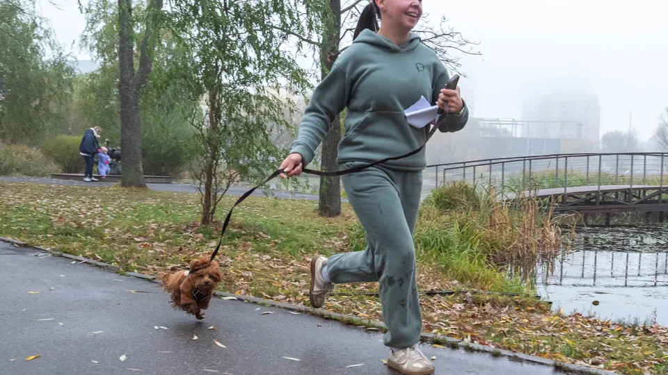 Фото: администрация г.о. Реутов