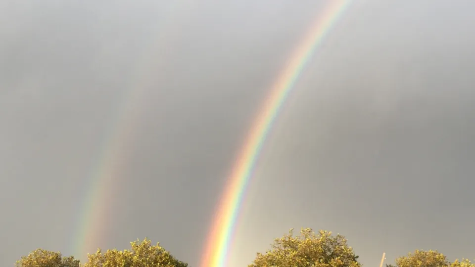 Фото: pxhere.com