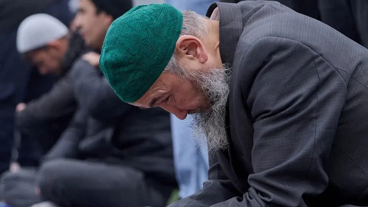 REGIONS/Дмитрий Белицкий