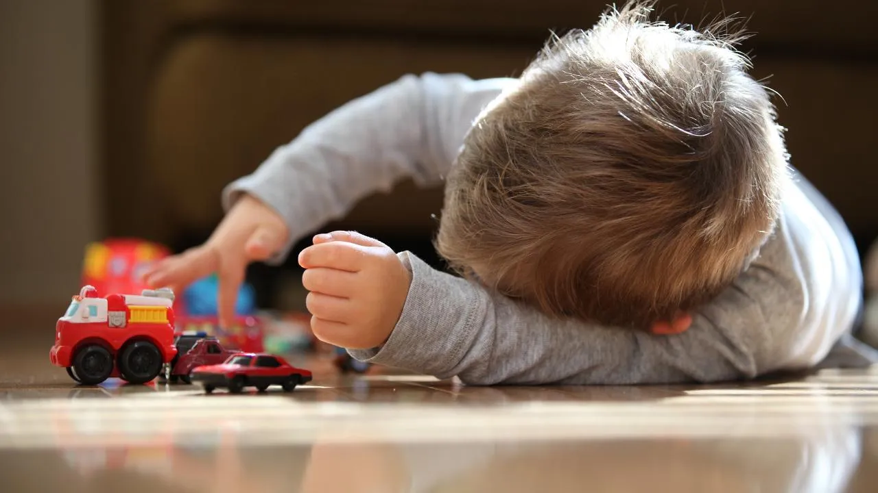 istockphoto.com/VeraJacobsPhotography