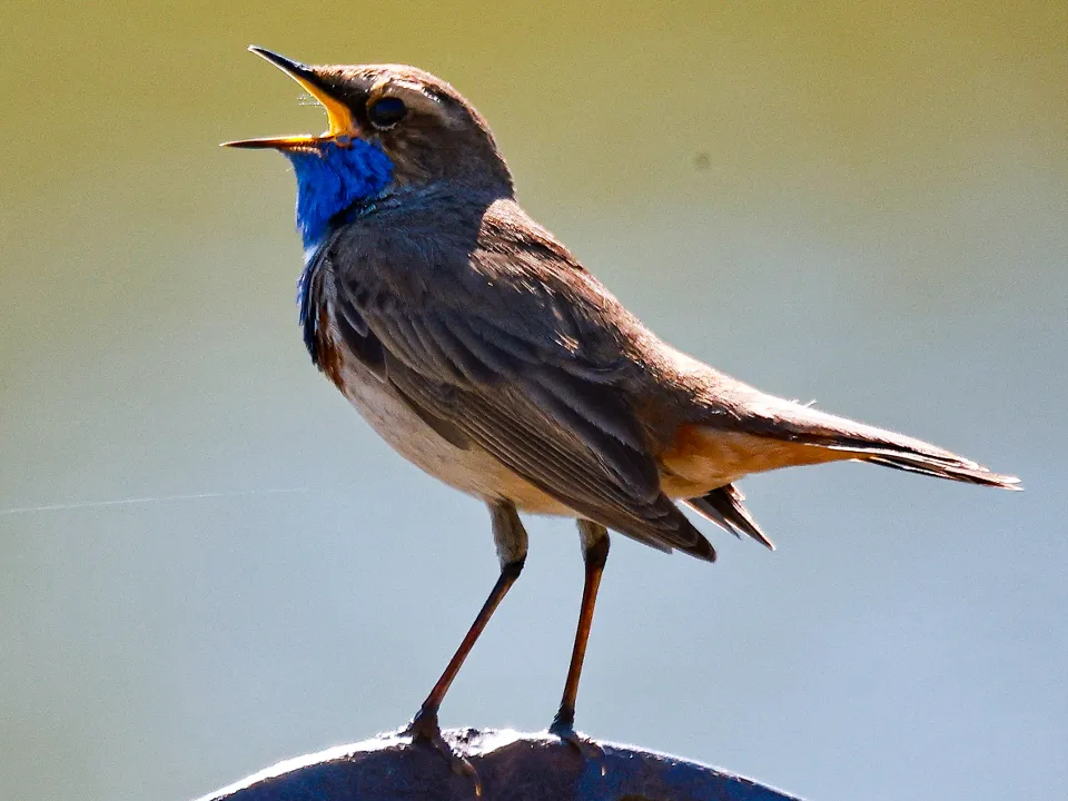 Фото: ТАСС/Владимир Смирнов