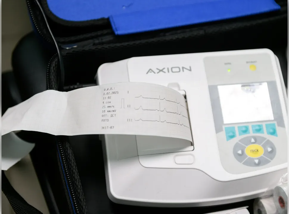 Фото: Медиабанк Подмосковья/Дарья Попова