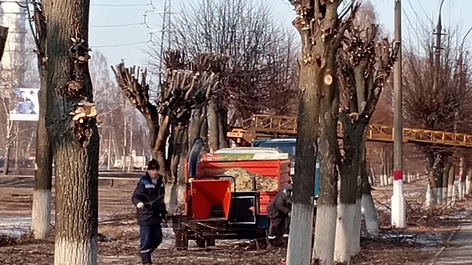 Фото: REGIONS/Виктория Гордеева