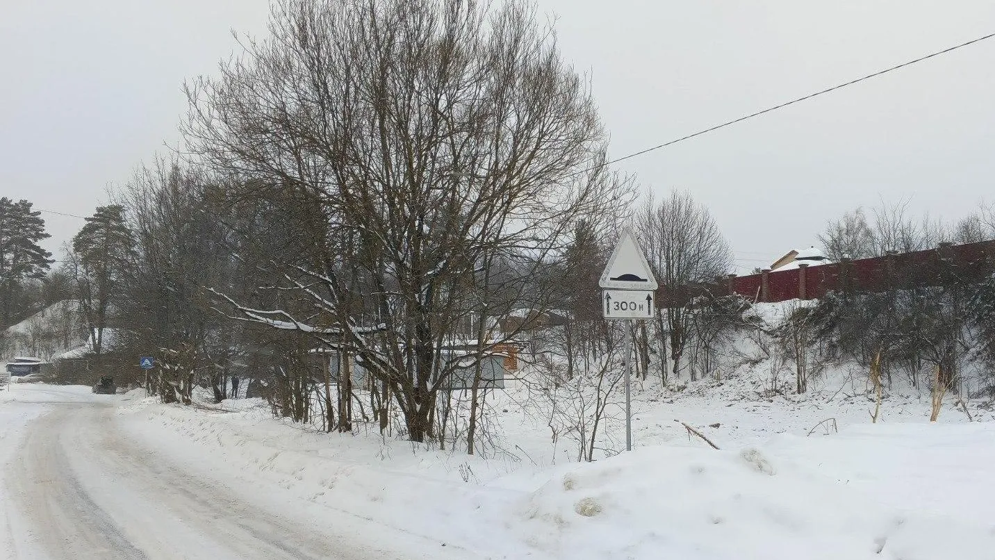 Фото: Мособлархитектура