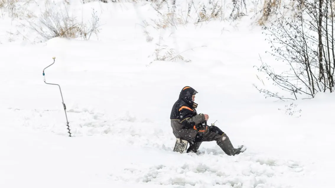 Фото: Медиасток Подмосковья