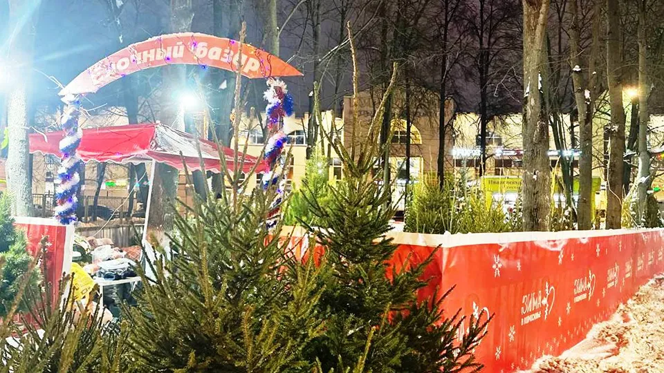 Фото: администрация г.о. Пушкинский