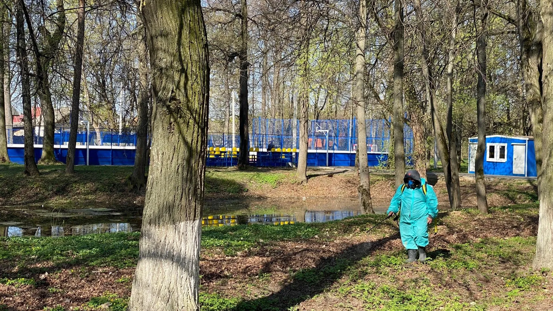 Фото: Анастасия Сараева