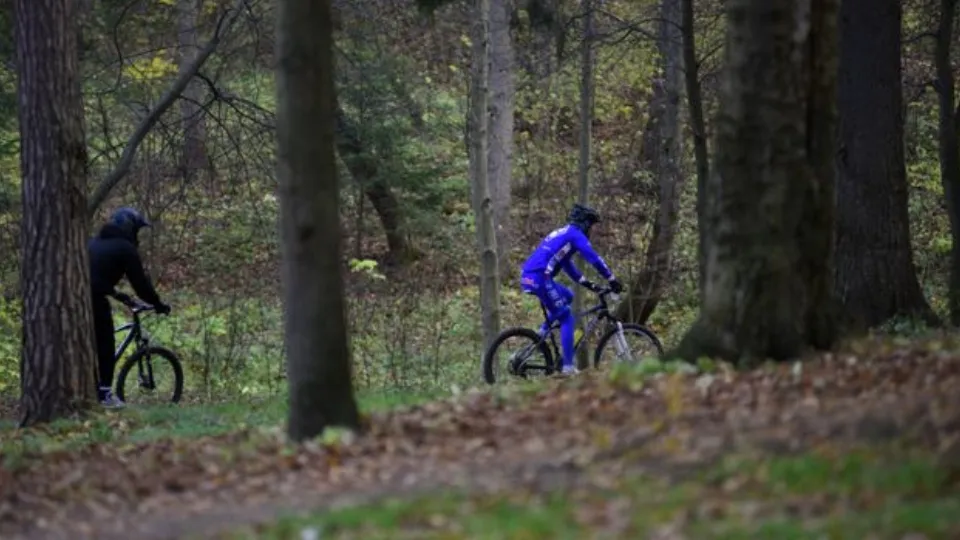 Фото: медиасток.рф