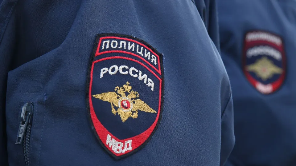 Фото: Медиаархив Подмосковья