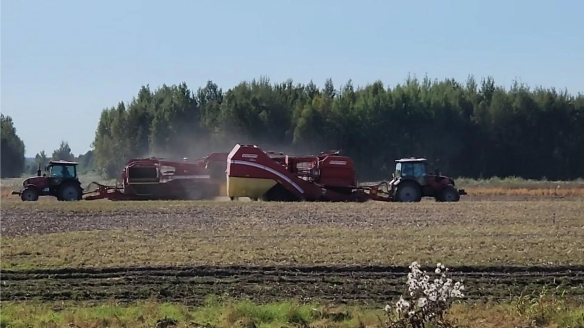 Фото: администрация муниципального округа Егорьевск