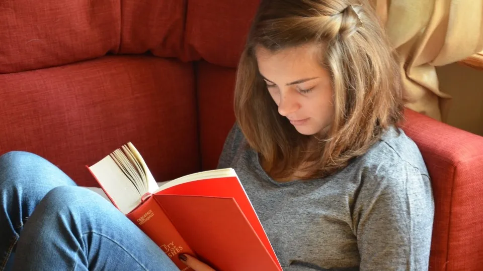 Фото: pxhere.com