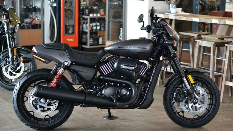 Harley Davidson Bikers Brothers