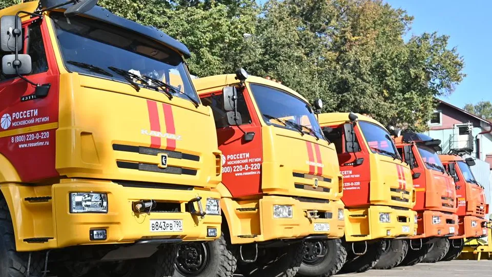 Фото: Министерство энергетики Московской области