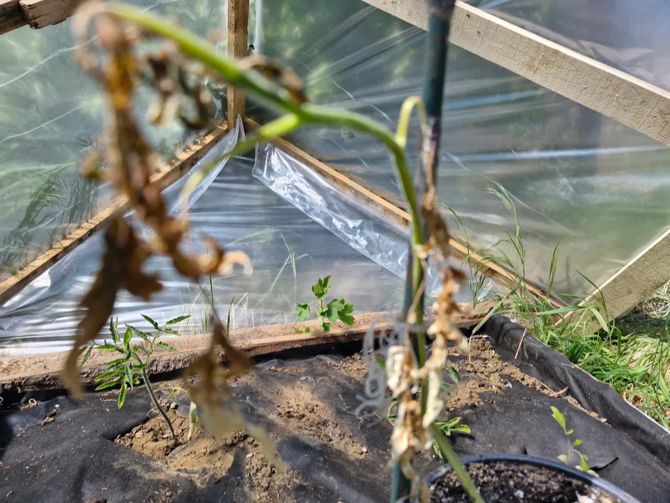 Фото: REGIONS/Наталия Надточая