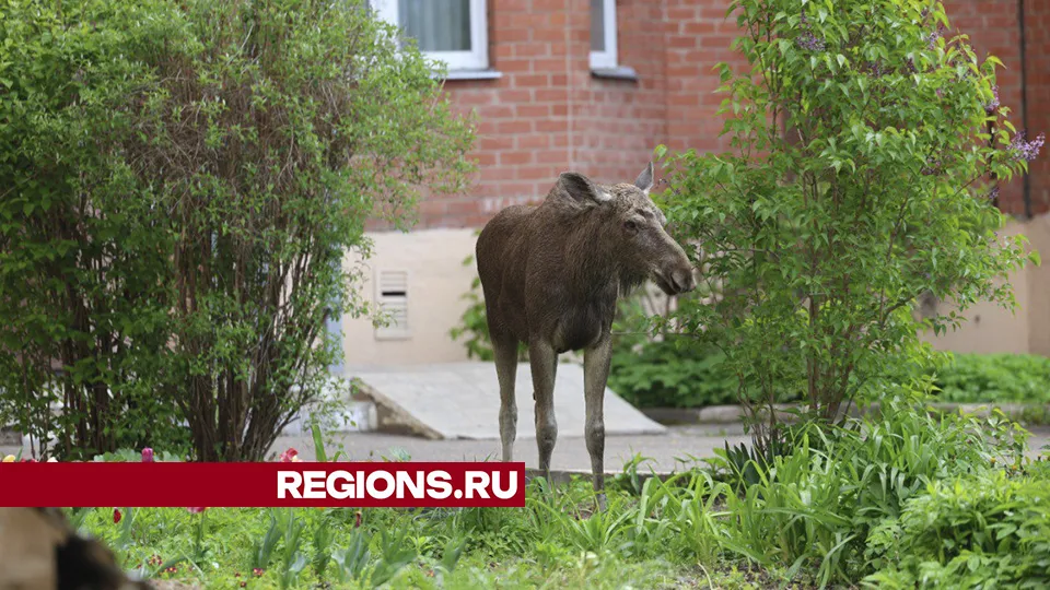Фото: Ольга Пятикрестовская