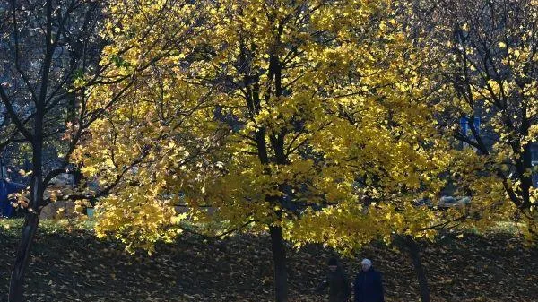 До 12 градусов тепла ожидается в воскресенье в столичном регионе