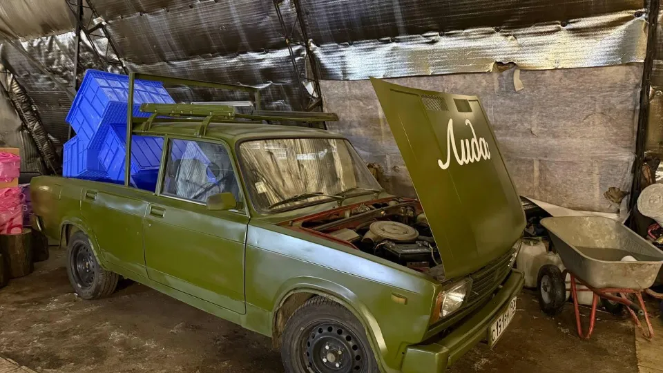 Фото: Александр Мурашкин