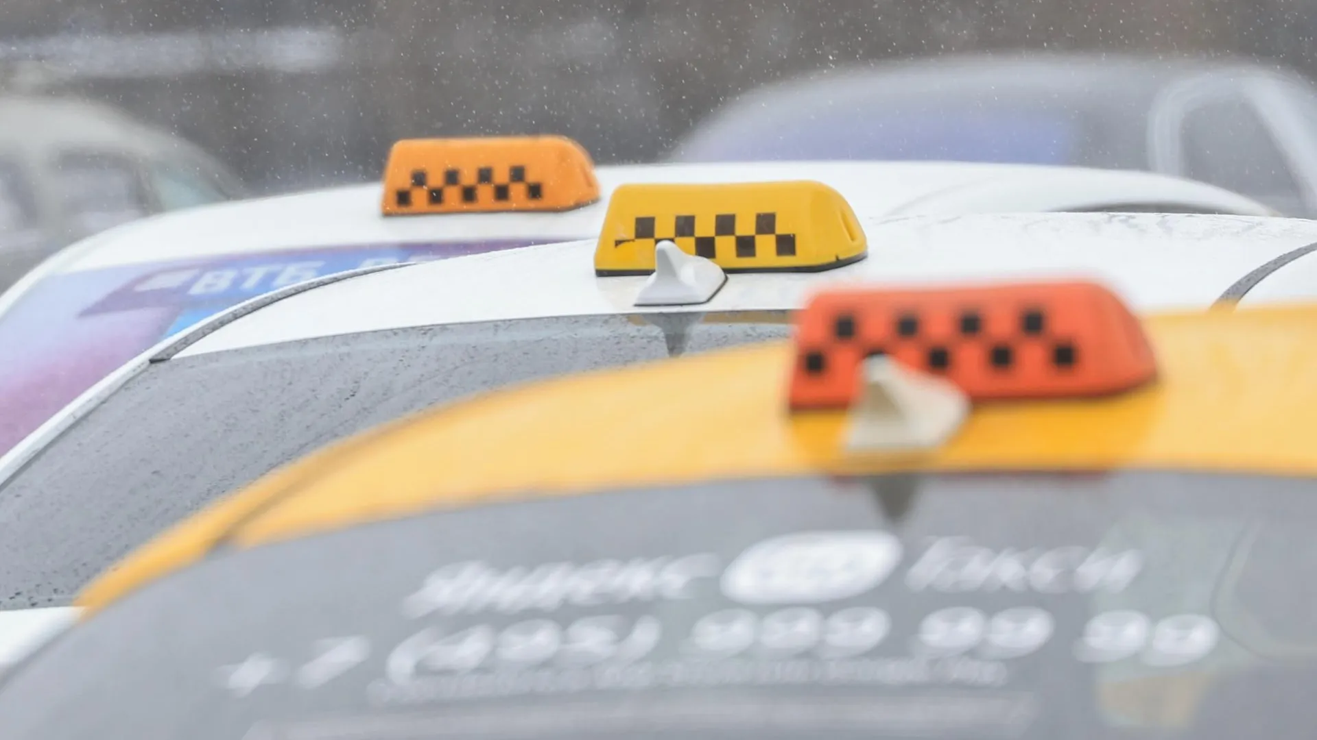 Shatokhina Natalia/news.ru