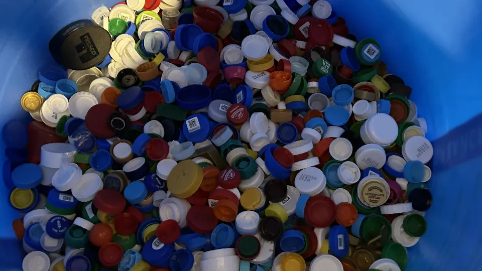 Фото: МедиаБанк Подмосковья/Мария Варшавер