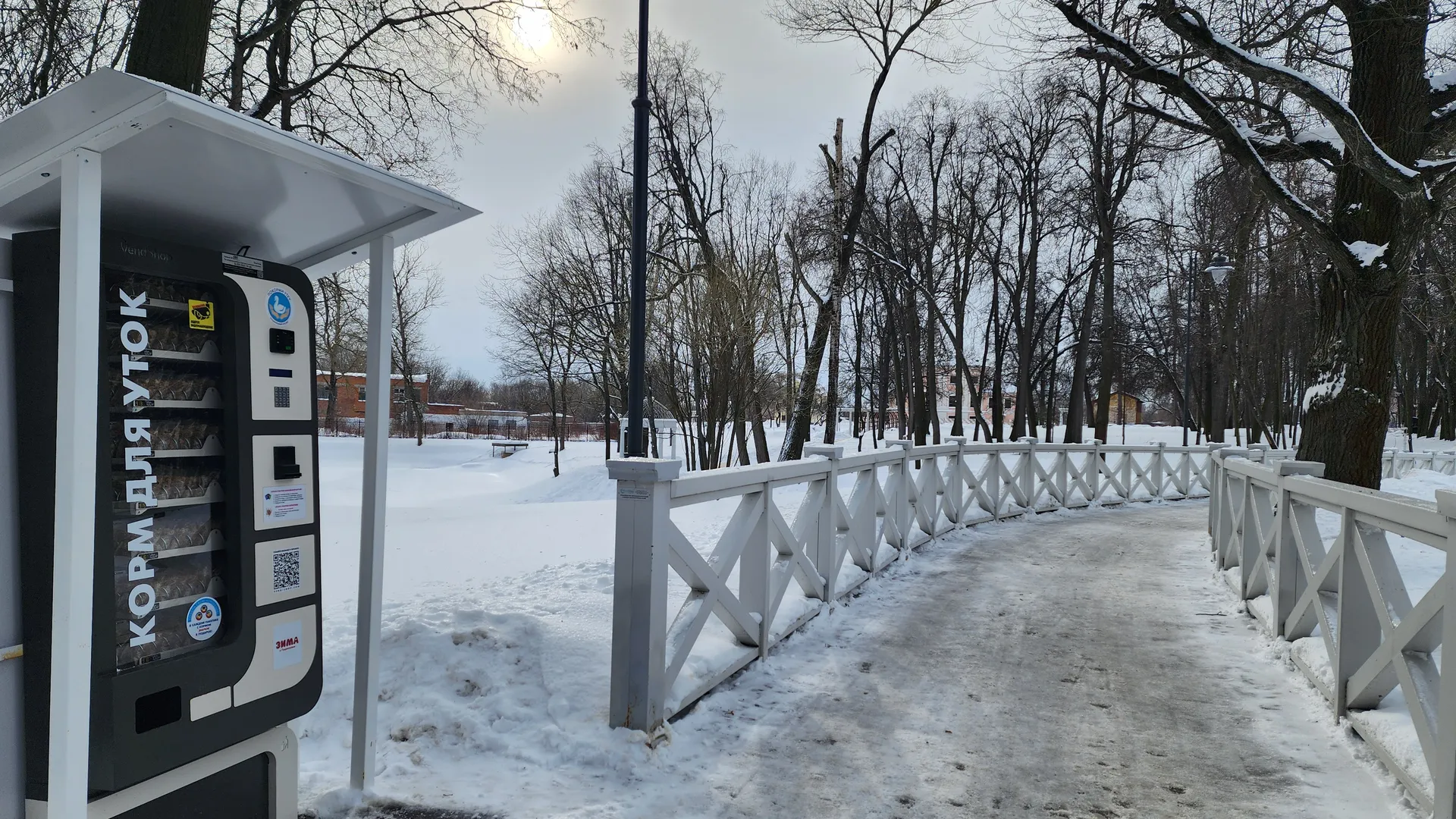 Фото: Светлана Плотникова