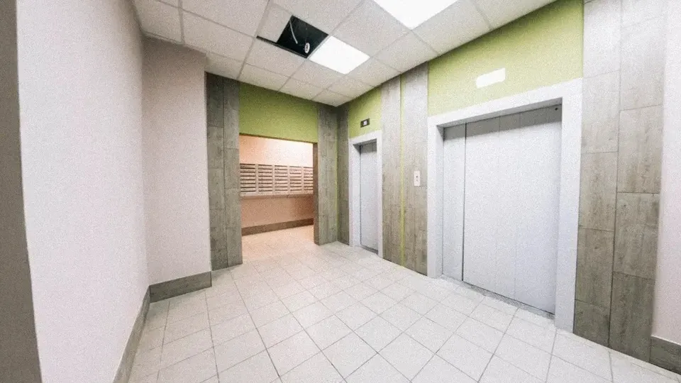 Фото: пресс-службы администрации г.о Домодедово