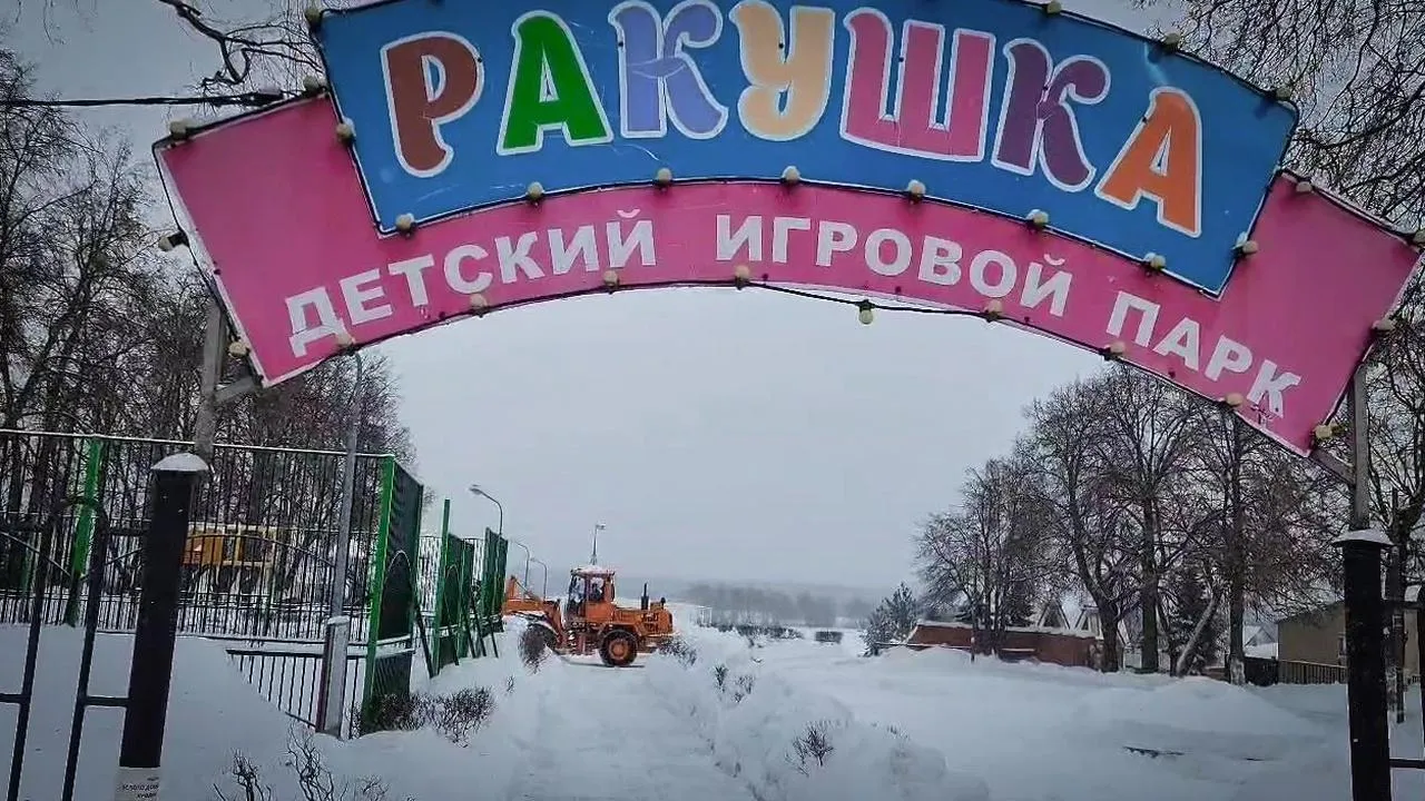 МедиаБанк Подмосковья/Ольга Антонова