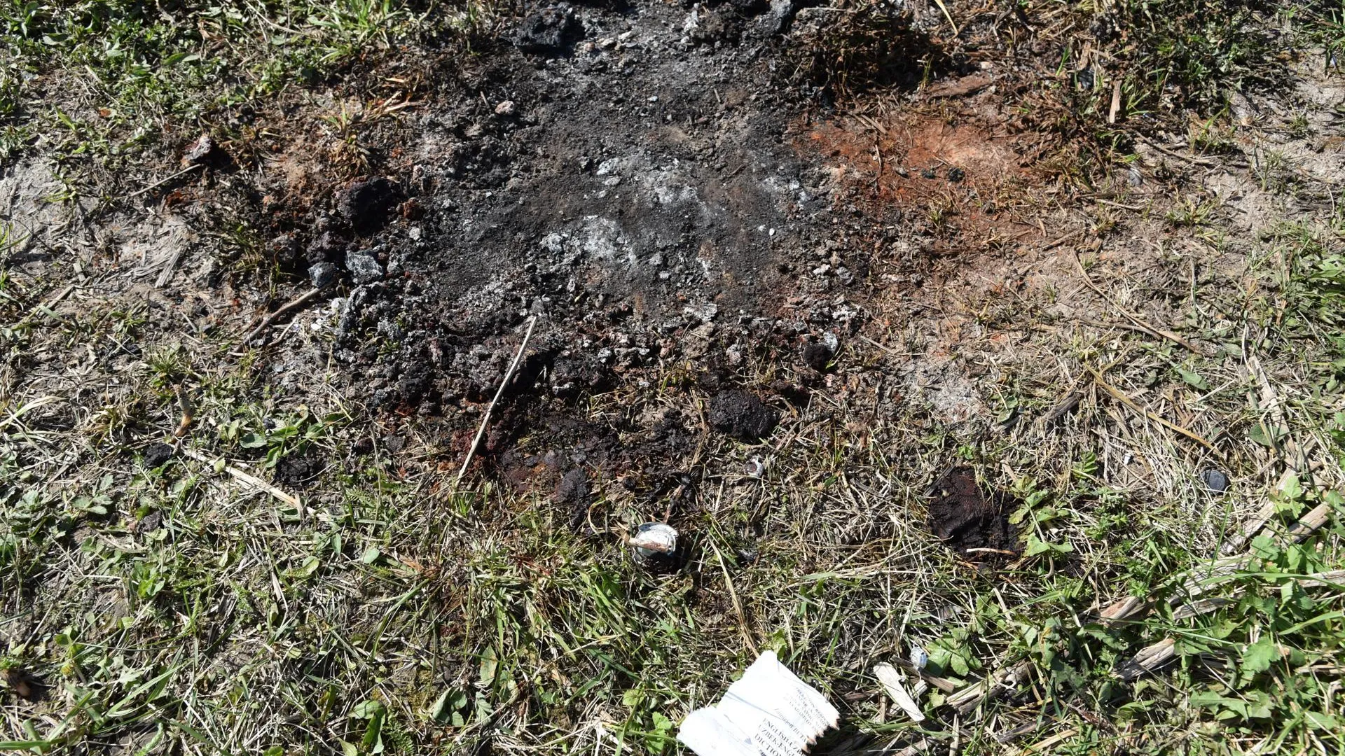 Директор школы в Лотошино опровергла сообщения о взрыве в учебном заведении