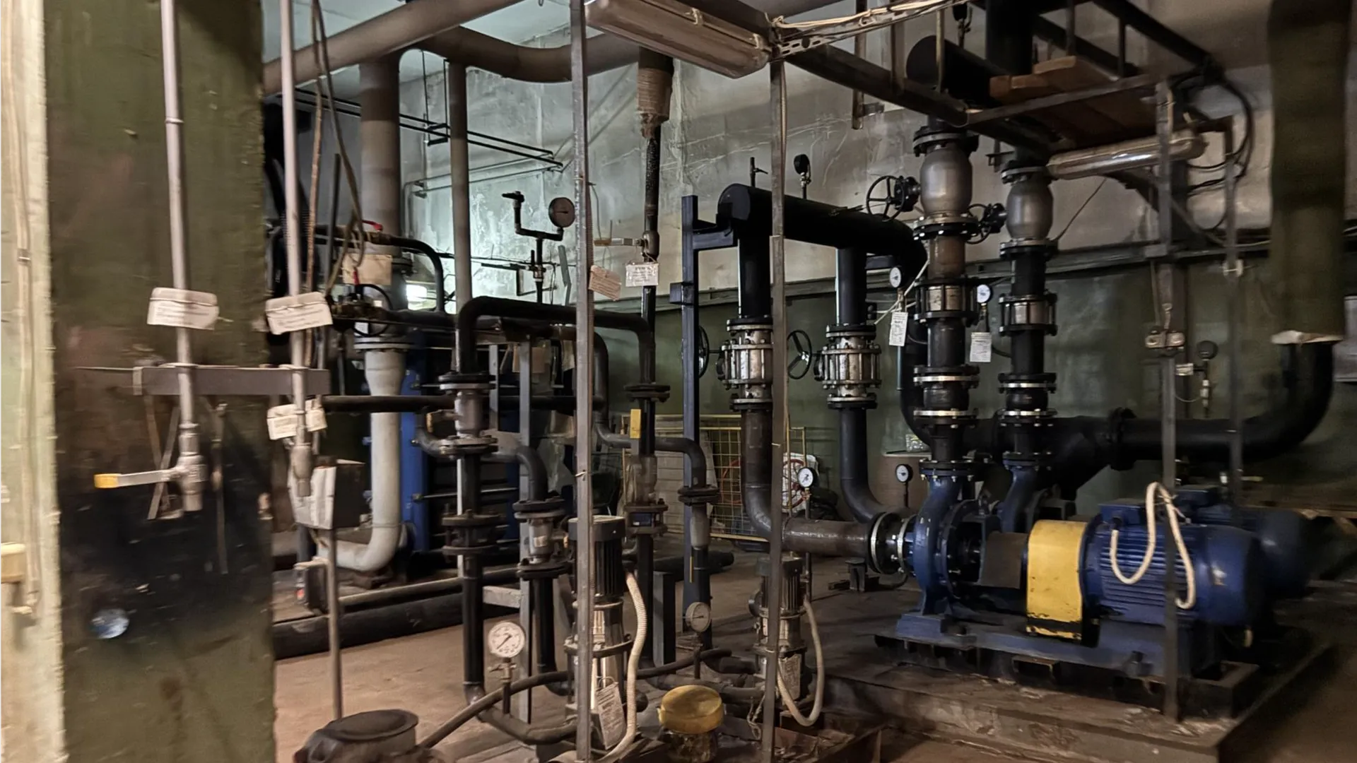 Фото: REGIONS/Мария Шматкова