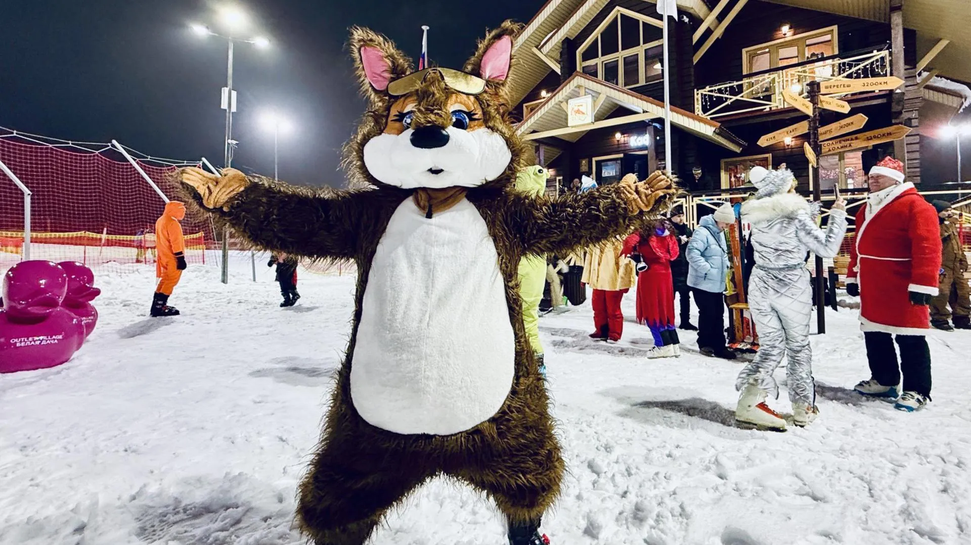 МедиаБанк Подмосковья/Ольга Стаферова