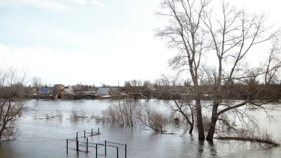 Фото: РИА Новости/Евгений Кузьмин