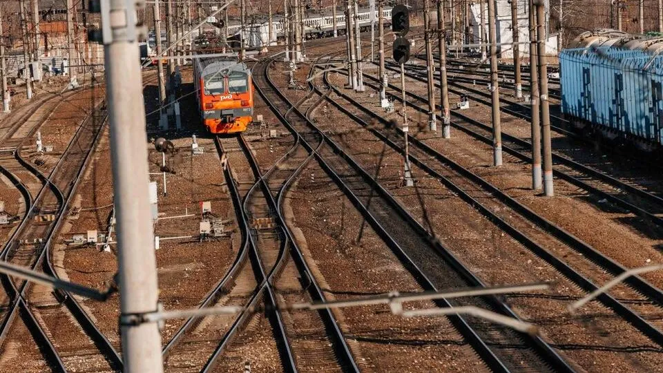 Фото: пресс-служба администрации Орехово-Зуевского округа