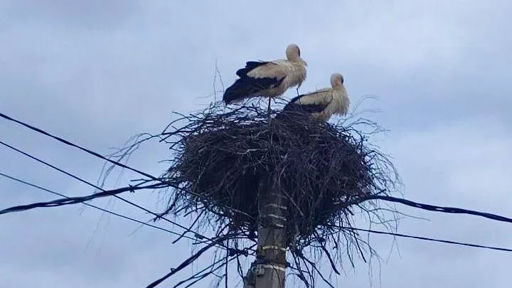 Фото: пресс-служба администрации ВГО
