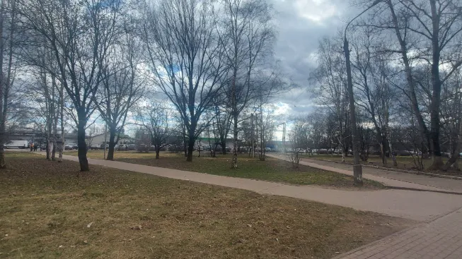 Фото: пресс-служба администрации Наро-Фоминского г.о.