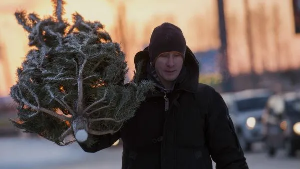К Новому году в области откроют более 400 елочных базаров