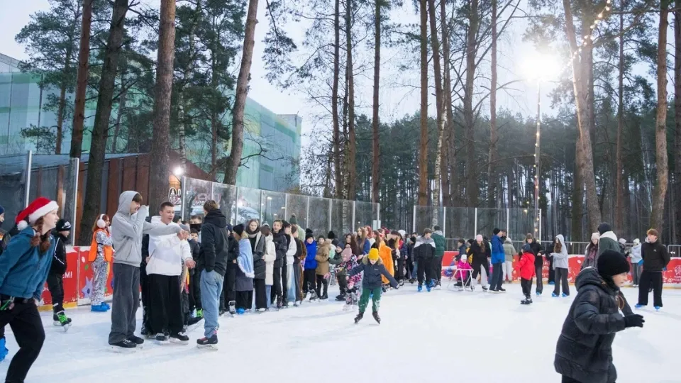 Фото: Парки г.о. Домодедово