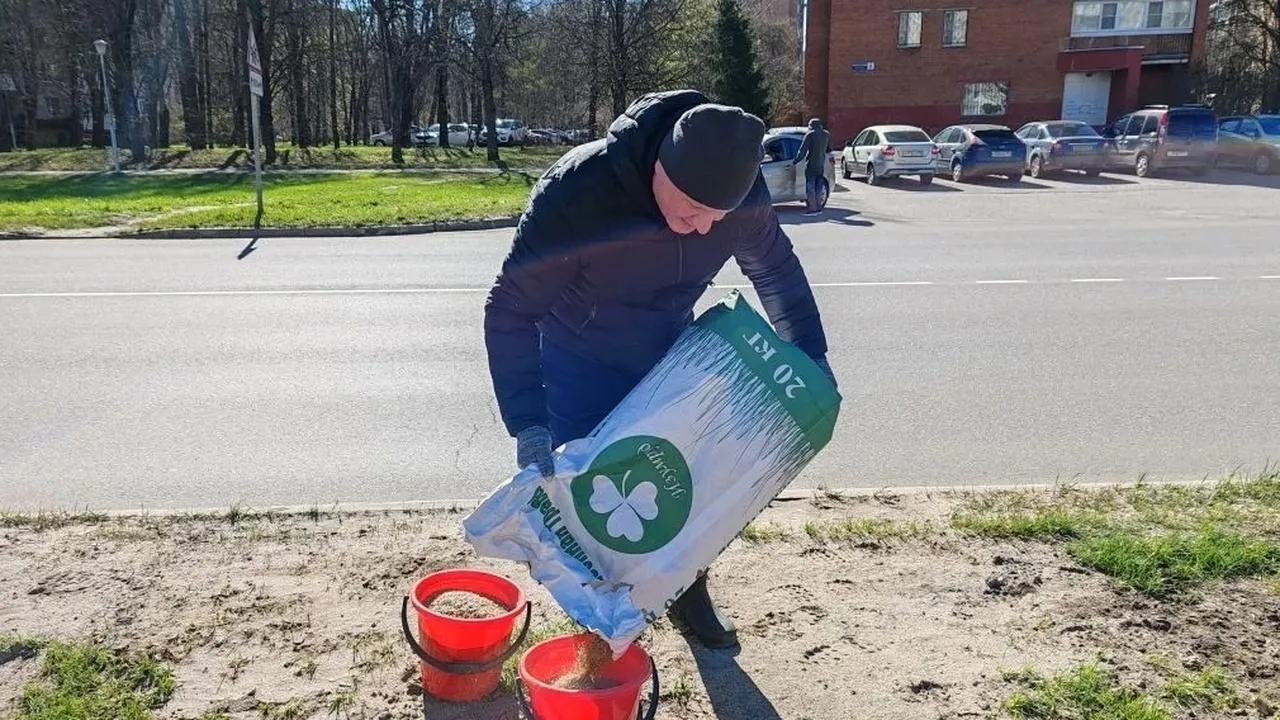 Семена газонной травы для посева насыпают в ведра.
