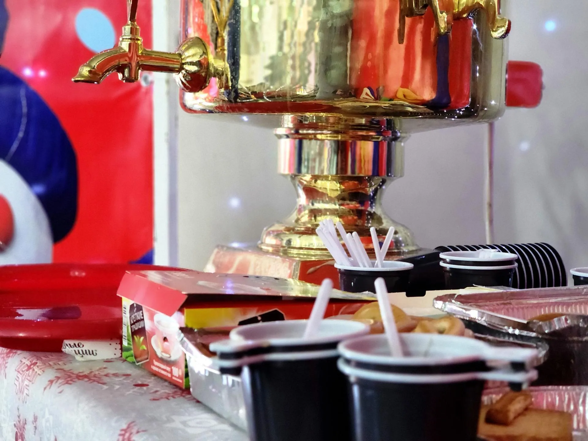 REGIONS/Полина Пахомова