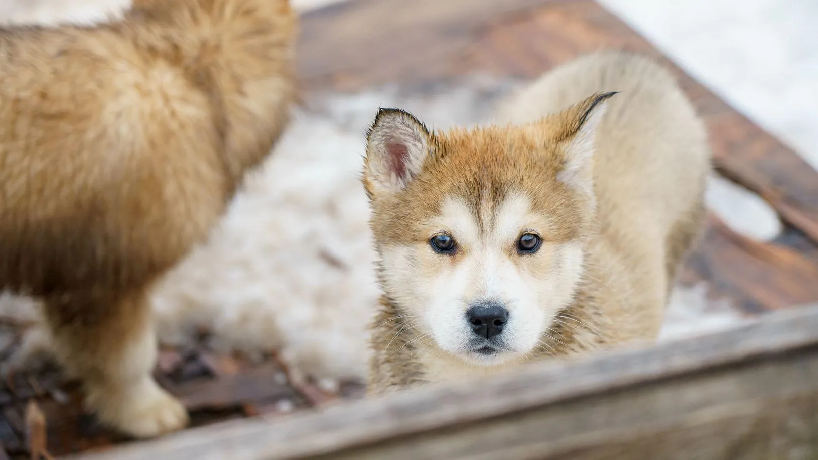 Медиасток.рф
