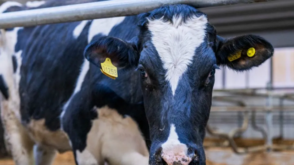 Фото: REGIONS/Наталья Надточая