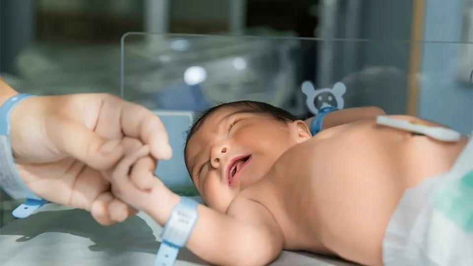 Фото: freepik.com